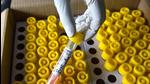 The third statewide serological survey covered 3,000 people in Gurugram, including 1,200 children aged six to 17 years, who are currently not covered under the Covid-19 immunisation programme. (HT Archive) The third statewide serological survey covered 3,000 people in Gurugram, including 1,200 children aged six to 17 years, who are currently not covered under the Covid-19 immunisation programme. (HT Archive)