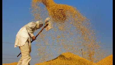 Paddy procurement for 2021-22 kharif marketing season in Punjab was to commence from October 1, while in Haryana it officially started from September 25. Paddy procurement for 2021-22 kharif marketing season in Punjab was to commence from October 1, while in Haryana it officially started from September 25.