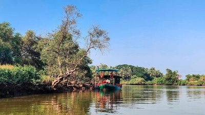 Crocodile and Bird Watch Boat Cruise: Need some adventure? Then you should definitely go for this cruise. It is a once in a lifetime experience for you and your family so do not let it go by any chance. (Instagram/@thelocalbeat_goa)