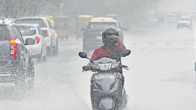 Commuters driving through the rain on the Sector 28-29 dividing road in Chandigarh on Thursday. (Keshav Singh/HT) Commuters driving through the rain on the Sector 28-29 dividing road in Chandigarh on Thursday. (Keshav Singh/HT)