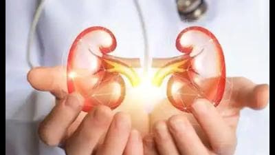 A recommendation has been sent to the National Health Authority (NHA) and soon facilities such as kidney transplant and cornea transplant will be available along with 1,500 other packages already available (Pic for representation) A recommendation has been sent to the National Health Authority (NHA) and soon facilities such as kidney transplant and cornea transplant will be available along with 1,500 other packages already available (Pic for representation)