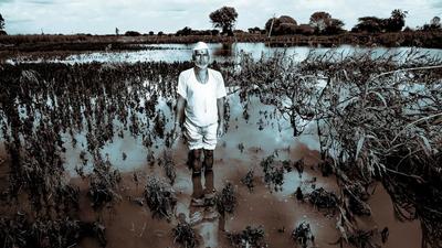 Student organisation Students Helping Hand is taking steps to provide assistance to students hailing from Marathwada and Vidarbha regions that has suffered loss of life and property in the recent heavy rains. (HT (FOR REPRESENTATIONAL PURPOSE))