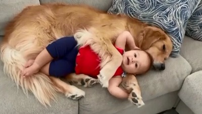 The image shows the baby cuddling with the dog. (Jukin Media)
