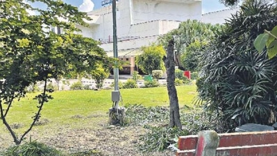 Opened in 1982, Siri Fort Auditorium in south Delhi used to be our window to the world cinema. Opened in 1982, Siri Fort Auditorium in south Delhi used to be our window to the world cinema.