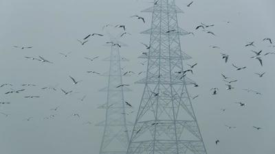 Delhi has at least 5.5 million domestic power consumers. (Representational image/REUTERS)
