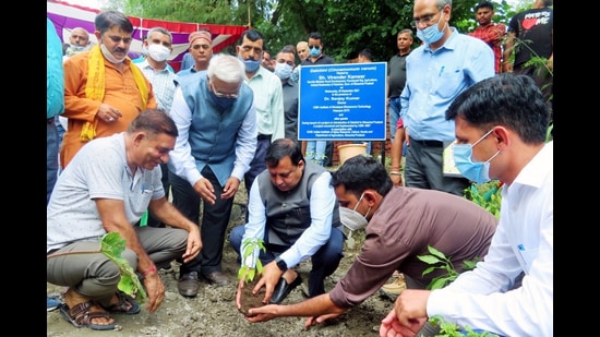 First sapling of cinnamon plant being planted in Una by state agriculture minister Virender Kanwar. (HT PHOTO)