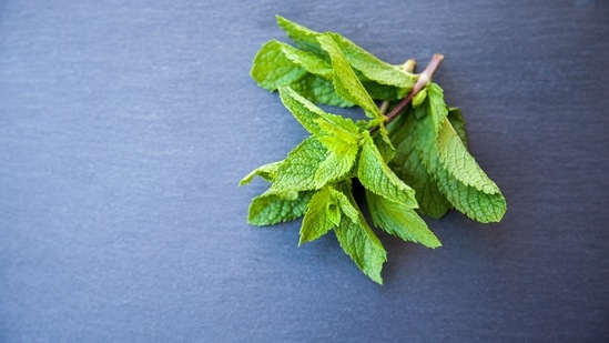 Have peppermint Tea: Having a cup of peppermint tea before each meal can help treat irritable bowel syndrome, including gas. You can also visit a doctor and start taking supplements.(Unsplash)