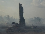 The number of Amazon fires was just over half the level recorded in September last year, according to the data. The number of Amazon fires was just over half the level recorded in September last year, according to the data.