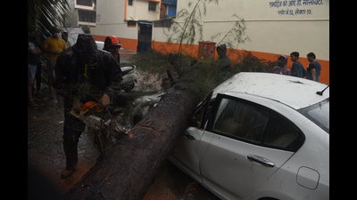 Navi Mumbai Municipal Corporation reported 120 tree fall incidents in the city this monsoon compared to 512 in 2020. (BACHCHAN KUMAR/HT PHOTO) Navi Mumbai Municipal Corporation reported 120 tree fall incidents in the city this monsoon compared to 512 in 2020. (BACHCHAN KUMAR/HT PHOTO)