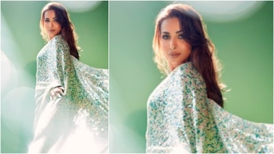 Malaika Arora redefined elegance and grace as she posed for the camera in this green saree. (Instagram/@malaikaaroraofficial) Malaika Arora redefined elegance and grace as she posed for the camera in this green saree. (Instagram/@malaikaaroraofficial)