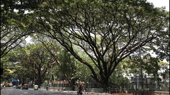 BJP leader Vineet Monga alleged that the Ludhiana Improvement Trust chairman was using the park as his personal lawn. (Representative photo)
