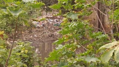 Dengue cases have seen a spurt in Amritsar with over a 100 cases in the last week alone; overall, the figure at 510. Garbage has not even been lifted near hospitals. (HT Photo)