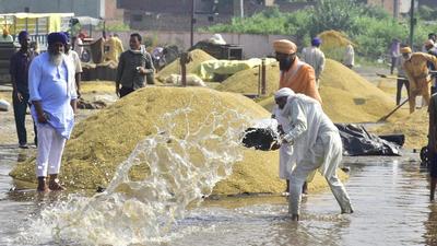 The rain lasted for around three hours in the morning, inundating heaps of paddy awaiting procurement at grain markets in Amritsar. (Sameer Sehgal/HT)