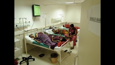 Noida had reported just 27 dengue cases last year. (HT Archive) Noida had reported just 27 dengue cases last year. (HT Archive)