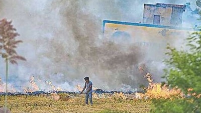 A farmer burning stubble in Haryana’s Hisar district. PTI file A farmer burning stubble in Haryana’s Hisar district. PTI file