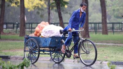 Chandigarh Transport Association general secretary BL Sharma said if transportation cost kept increasing due to more expensive fuel, vegetables will get even more costlier in a month or so. (HT Photo)
