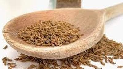 Sleuths of the city police’s enforcement branch (EB) intercepted a truck loaded with at least 222 sacks, each carrying 50 kilos of kala jeera. (Image used for representation). (HT FILE PHOTO.)