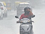 Weather department has forecast light to heavy rainfall in 3 districts of Bengal today (Representative Image)