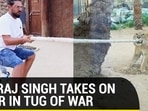YUVRAJ SINGH TAKES ON LIGER IN TUG OF WAR YUVRAJ SINGH TAKES ON LIGER IN TUG OF WAR