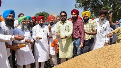 Paddy procurement in Punjab has been delayed by two days due to prolonged spell of rain; Punjab CM Channi had also met PM Modi on the issue. (Twitter)