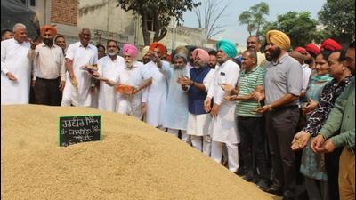 Cabinet minister Bharat Bhushan Ashu kicked off paddy procurement at the Khanna grain market in Ludhiana. (HT Photo)