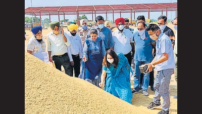 Mohali DC Isha Kalia inspecting the paddy and reviewing arrangements at New Grain Market in Kurali on Sunday. (HT PHOTO)