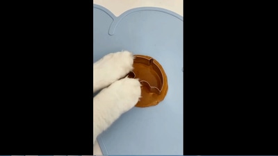 The image is taken from the video about Squid Game’s Dalgona Candy. (Instagram/@thatlittlepuff)