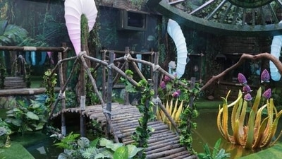Bigg Boss 15 pool is more of a lake with a wooden bridge to cross from one side to another. Bigg Boss 15 pool is more of a lake with a wooden bridge to cross from one side to another. 