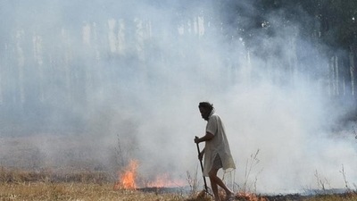 Farmers from Haryana and Punjab and some other states set their farmlands on fire to quickly clear off the crop residue left after harvesting and before cultivating crops such as wheat and potato. (HT file photo) Farmers from Haryana and Punjab and some other states set their farmlands on fire to quickly clear off the crop residue left after harvesting and before cultivating crops such as wheat and potato. (HT file photo)