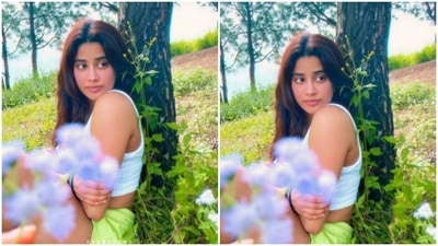 She played muse to one of her friend’s camera who clicked her with the wildflowers. Janhvi, resting with her back to a tree, can be seen posing while looking away from the camera. (Instagram/@janhvikapoor)