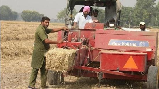 In Punjab, paddy stubble burning is a major issue in the harvesting season as the smog and the pollution hits health; PPCB has also asked thermal power plants to use stubble as fuel. (HT Photo)