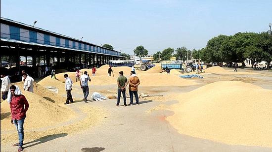 Procurement has not been fully started even as paddy has started arriving in the mandis of Haryana. Farmers and commission agents say officials of the procurement agency have not procured a single grain of paddy from them. (MANOJ DHAKA/HT)