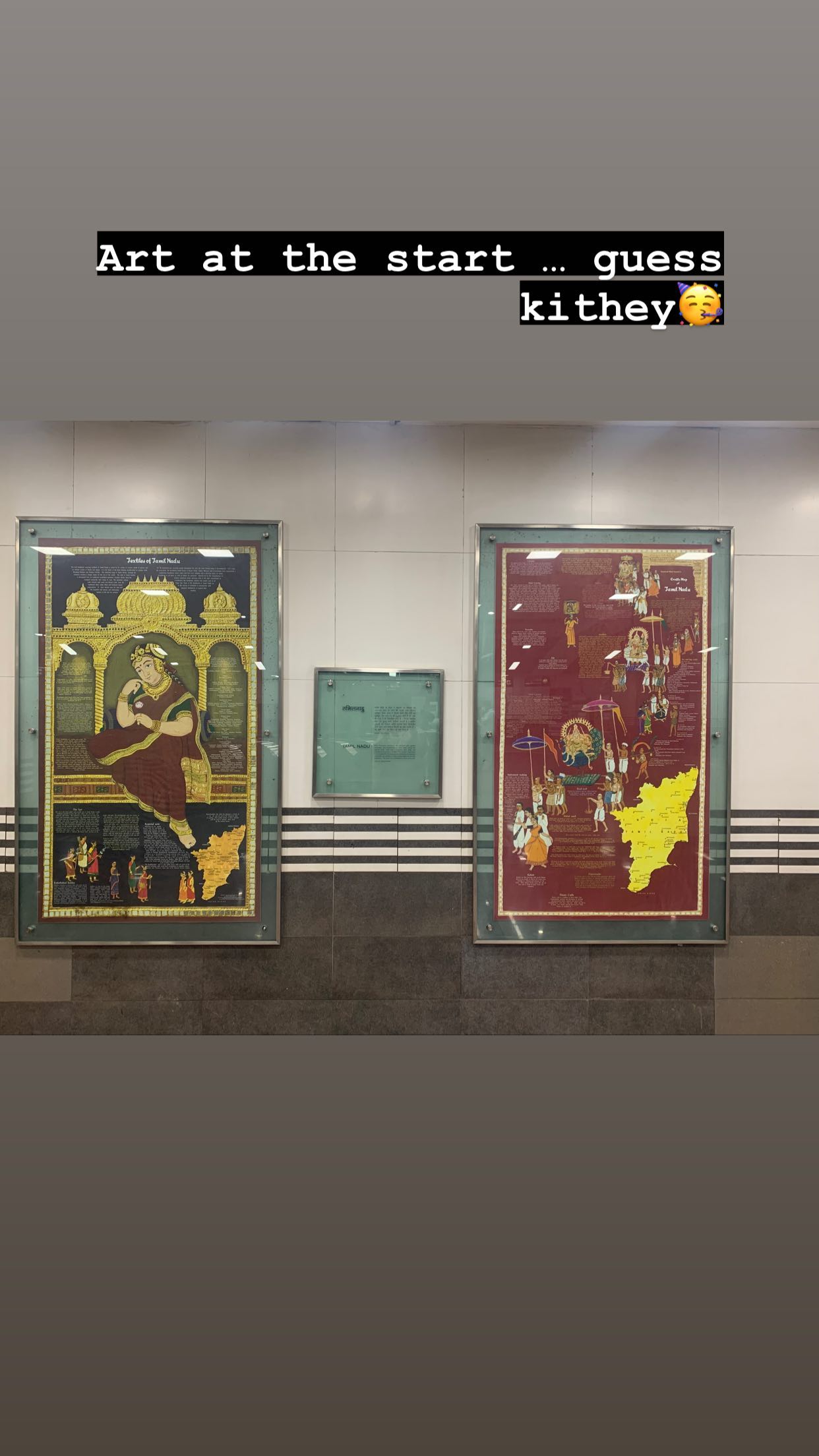 Artwork at Delhi Metro station. (Instagram/@smritiiraniofficial) Artwork at Delhi Metro station. (Instagram/@smritiiraniofficial)