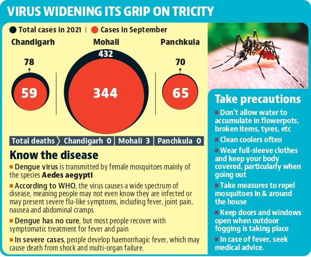 Dengue soars in Mohali, 80% of this year’s cases in September alone Dengue soars in Mohali, 80% of this year’s cases in September alone