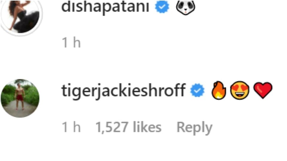 Tiger Shroff's comment on Disha Patani's post. Tiger Shroff's comment on Disha Patani's post. 