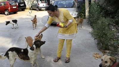 This day is also known as ‘Animal Lovers Day’ as it encourages love, care, affection and protection of animals through the involvement of individuals and organisations who work for the rights of animals. (HT Photo) This day is also known as ‘Animal Lovers Day’ as it encourages love, care, affection and protection of animals through the involvement of individuals and organisations who work for the rights of animals. (HT Photo)