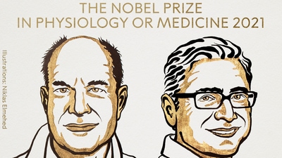 Winners David Julius and Ardem Patapoutian. (Twitter/Nobel Prize)