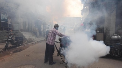 A civic employee fumigates a road in Delhi. (HT Photo) A civic employee fumigates a road in Delhi. (HT Photo)