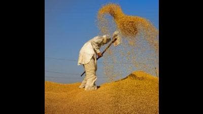 Mohali deputy commissioner Isha Kalia said the flying squads have been constituted at the market committee level, so that recycling and bogus milling of paddy can be brought under check. (PTI)