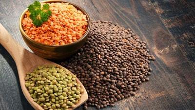 The important pulses produced in India are gram (chickpea), tur (pigeon pea), urad (black gram), moong (green gram), masoor (lentils) and peas. (Representative image) The important pulses produced in India are gram (chickpea), tur (pigeon pea), urad (black gram), moong (green gram), masoor (lentils) and peas. (Representative image)