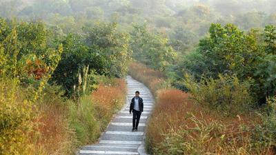A view of the Aravalli Biodiversity Park, which forms a major part of the district’s biodiversity. An action plan to protect other parts of the forests as well as important wetlands is being prepared. (HT Archive) A view of the Aravalli Biodiversity Park, which forms a major part of the district’s biodiversity. An action plan to protect other parts of the forests as well as important wetlands is being prepared. (HT Archive)