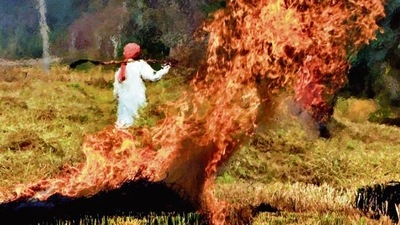 Farm fires are a major source of pollution in Delhi-NCR. (HT File Photo) Farm fires are a major source of pollution in Delhi-NCR. (HT File Photo)