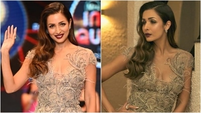 Malaika Arora serves a sensuous look in figure-hugging silver dress with plunging neck (Instagram/@tanghavri) Malaika Arora serves a sensuous look in figure-hugging silver dress with plunging neck (Instagram/@tanghavri)
