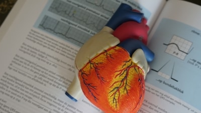 May benefit the heart: Intermittent fasting may improve blood sugar levels, blood pressure, blood triglycerides and other heart-related problems. (Unsplash)