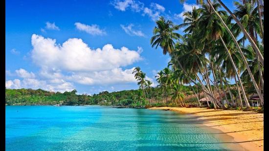 These 10 Blue Flag beaches in India are sure to invite travellers, here we tell you why!