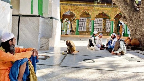 The monkey spends a large part of the day in this courtyard. The monkey spends a large part of the day in this courtyard.