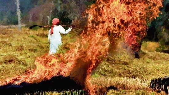 Farm fires are a major source of pollution in Delhi-NCR.(HT File Photo)