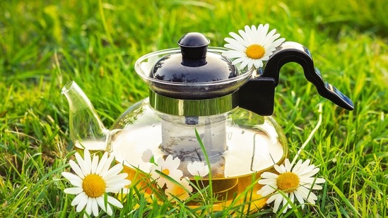 Chamomile tea: This is among the most well-known stress-soothing teas. Studies show positive effect of chamomile on mental wellbeing. It reduces moderate to severe symptoms of generalized anxiety disorder (GAD).(Unsplash)