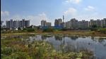 Larvae breeding is a major concern as cases of dengue continue to mount. A pool of water is stagnating on a vacant plot in Sector 37C. (Vipin Kumar /HT PHOTO) Larvae breeding is a major concern as cases of dengue continue to mount. A pool of water is stagnating on a vacant plot in Sector 37C. (Vipin Kumar /HT PHOTO)