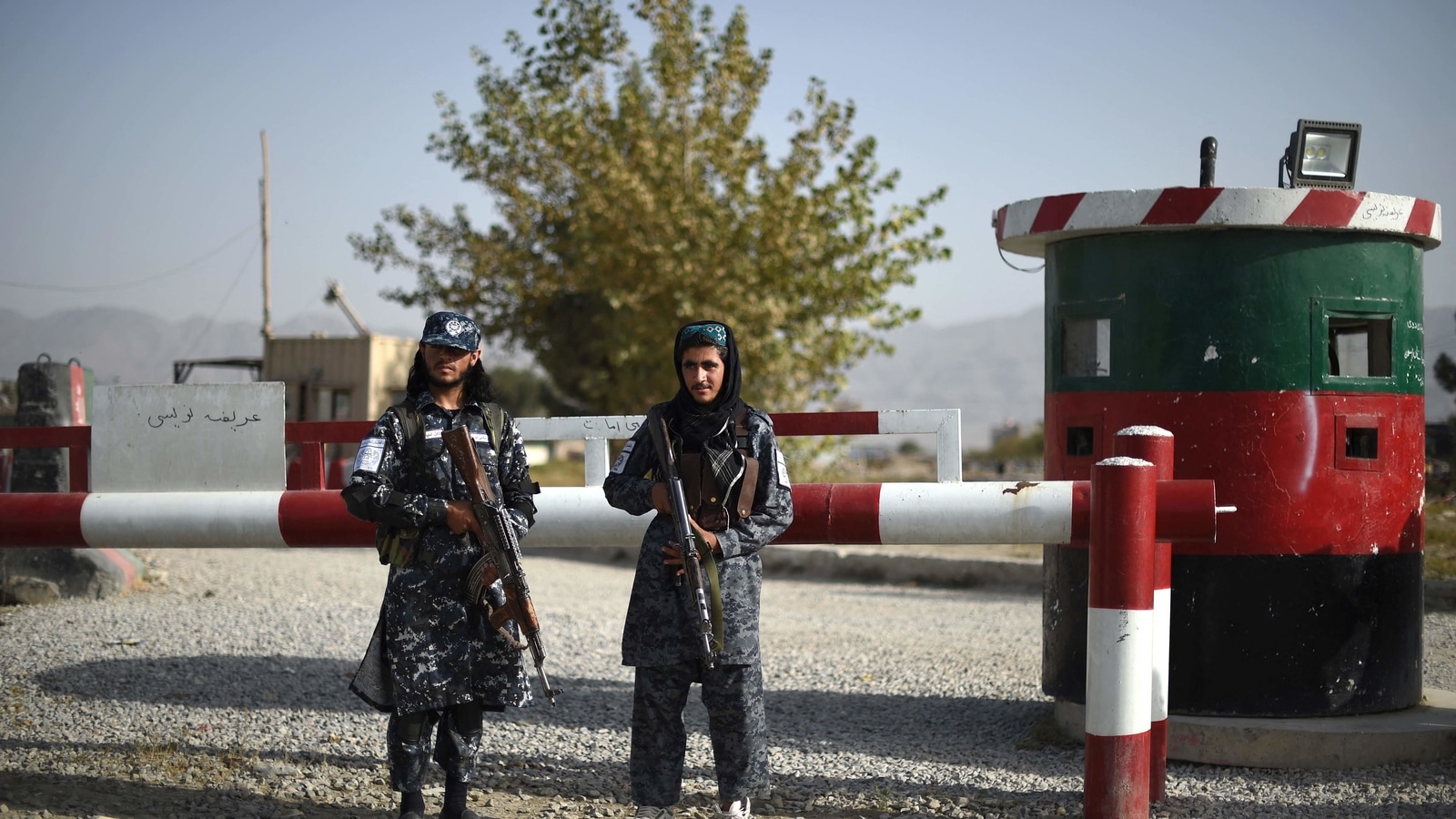 Nell’Afghanistan controllato dai talebani, corpi di criminali pendono dagli escavatori: rapporto |  notizie dal mondo